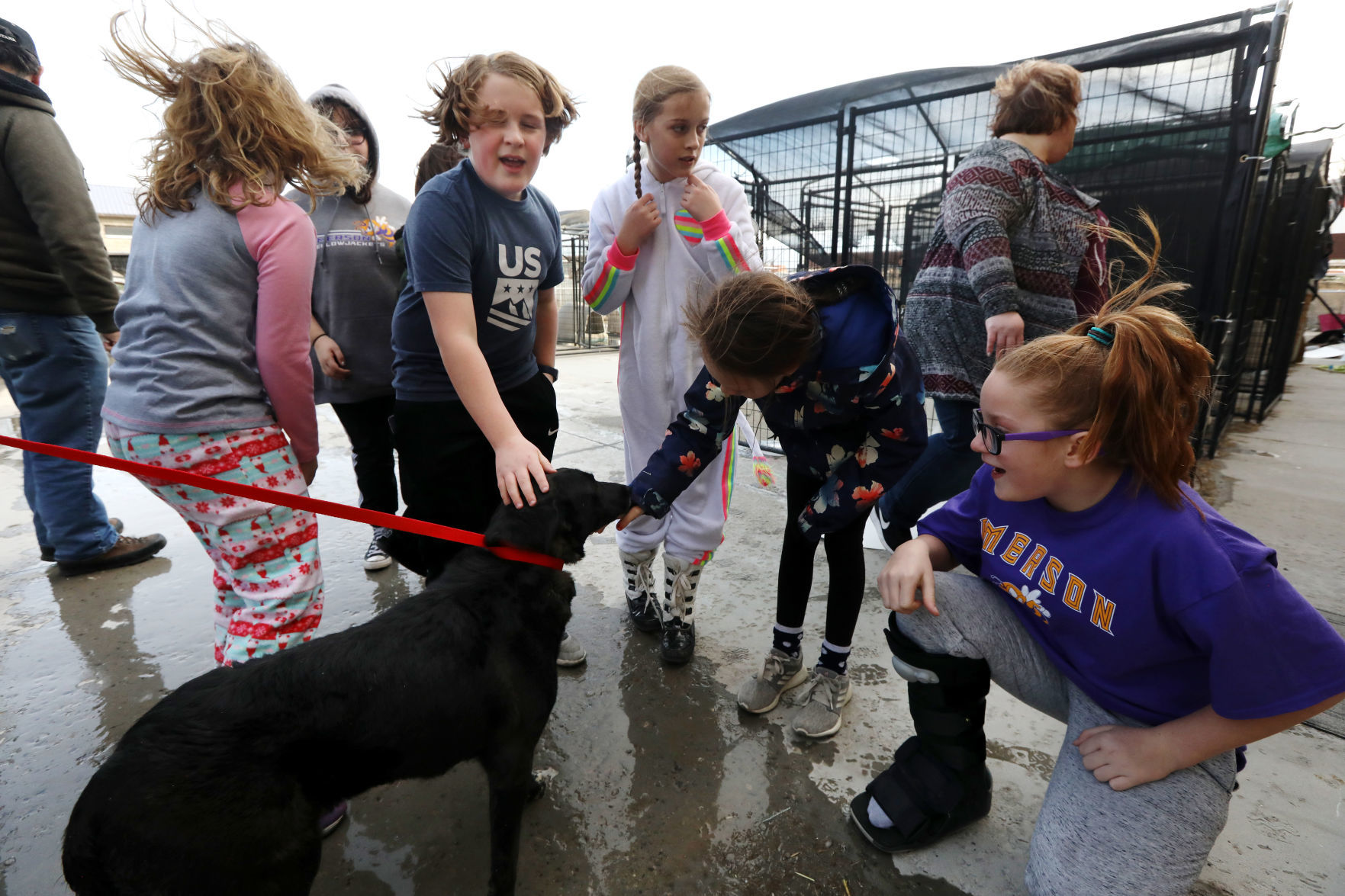 Pintler Pets gets a visit and supplies from Butte elementary students
